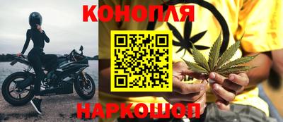 стафф Волгодонск