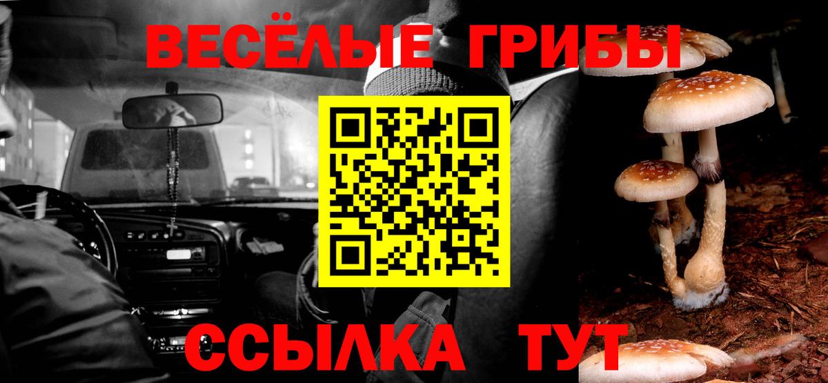 Елизово  Псилоцибиновые грибы MAGIC MUSHROOMS  Вход с VPN 